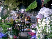 「はな職人」　（愛知県岡崎市）の花屋店舗写真2